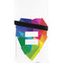 Love Is Equal PS5 Pro Disk Bundle  Skin